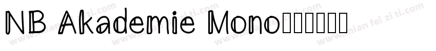NB Akademie Mono字体转换